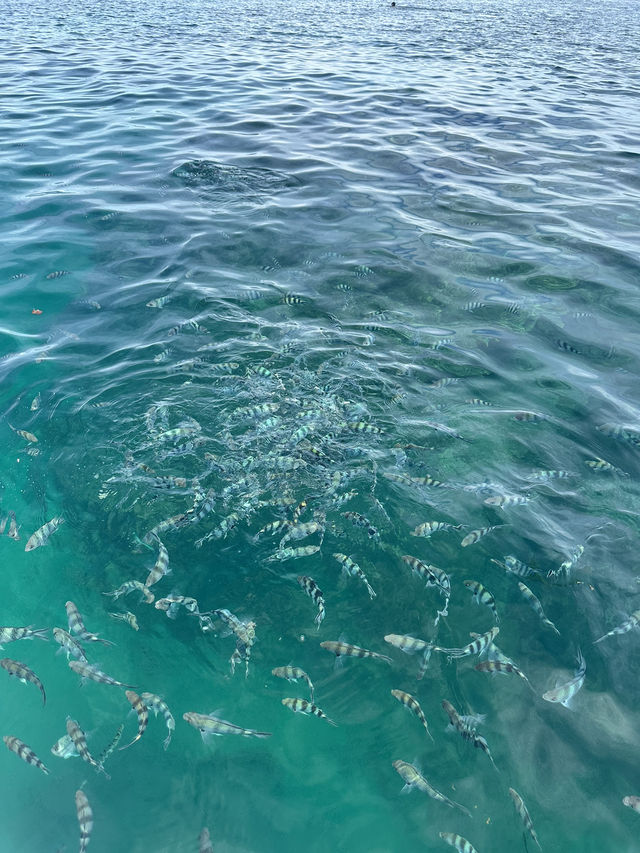 Crystal Waters, Cloudy Service: My Stay at the Intercontinental Fiji