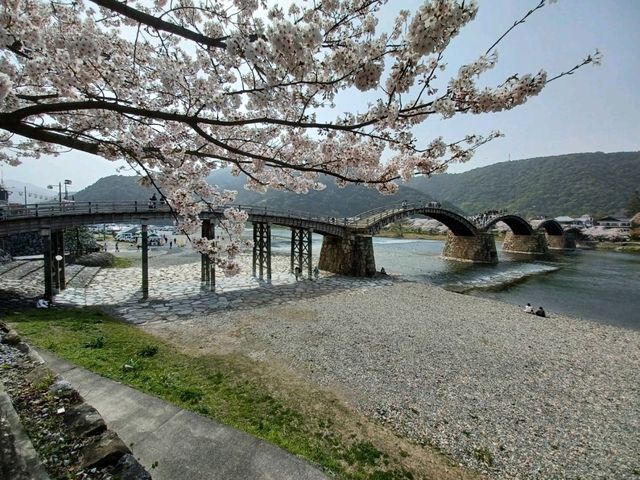 岩国市の錦帯橋