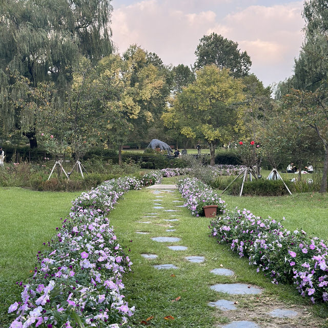 【ソウル】🇰🇷 ヨンサン家族公園
