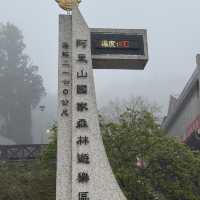 祝山觀日步道 Zhushan Sunrise Trail