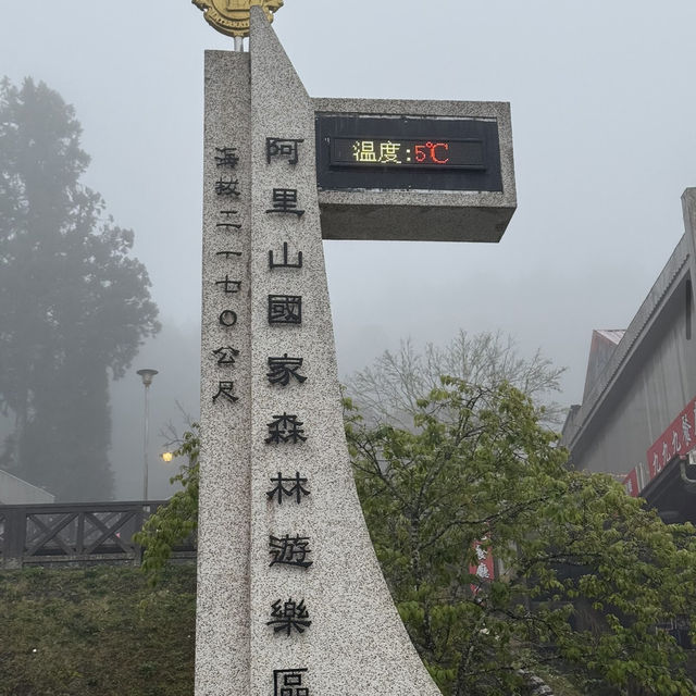 祝山觀日步道 Zhushan Sunrise Trail