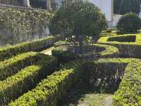 Gardens with a view 