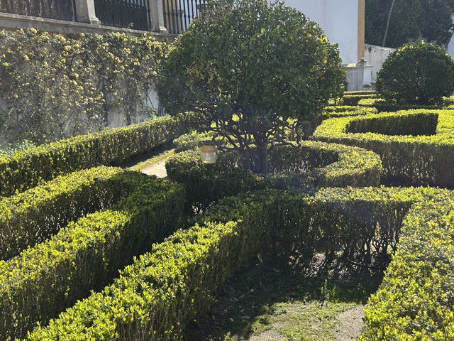 Gardens with a view 