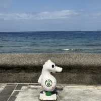 藍到不真實！綠島環島🏝️＋潛水🤿一日完美行，海景🪸和海龜通通收集！🤩