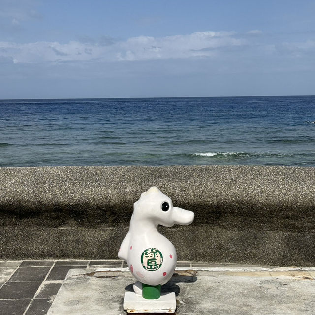 藍到不真實！綠島環島🏝️＋潛水🤿一日完美行，海景🪸和海龜通通收集！🤩