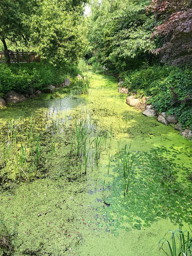 首爾景點｜首爾兒童大公園免費參觀動物園💜