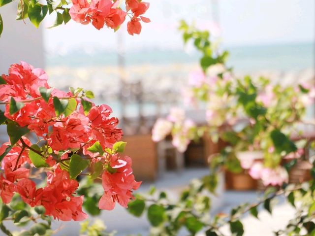 มาทะเล Mar Sea กัน