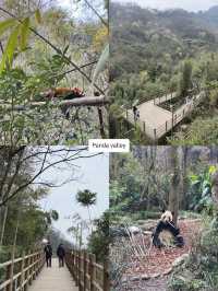 One day trip เที่ยวตูเจียงเยี่ยน, เฉิงตู