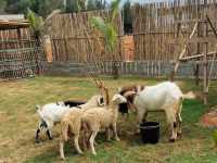 Batam Zoo Paradise