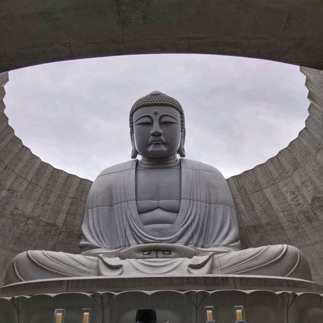 Title: “A Sacred Journey to the Hill of the Buddha – Where Serenity Meets Wonder”