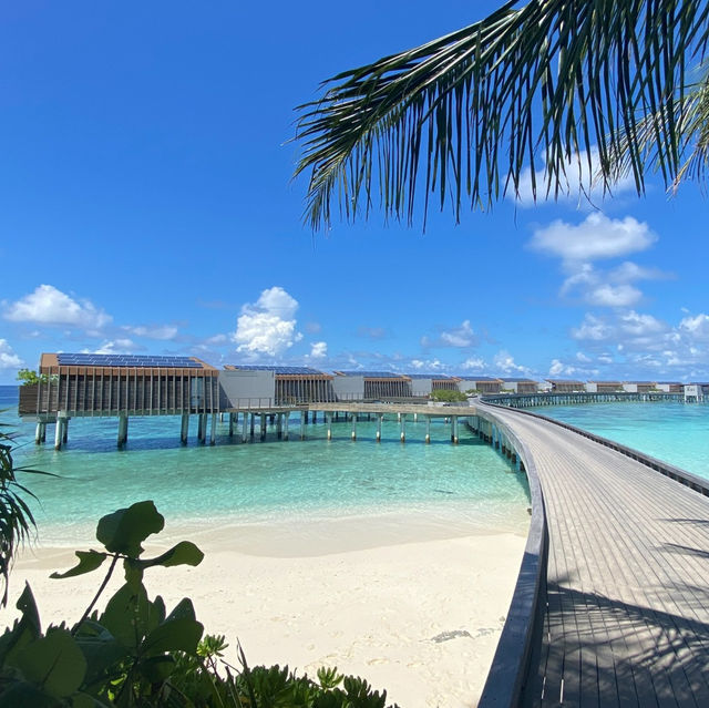 A Tranquil Paradise at Park Hyatt Maldives Hadahaa