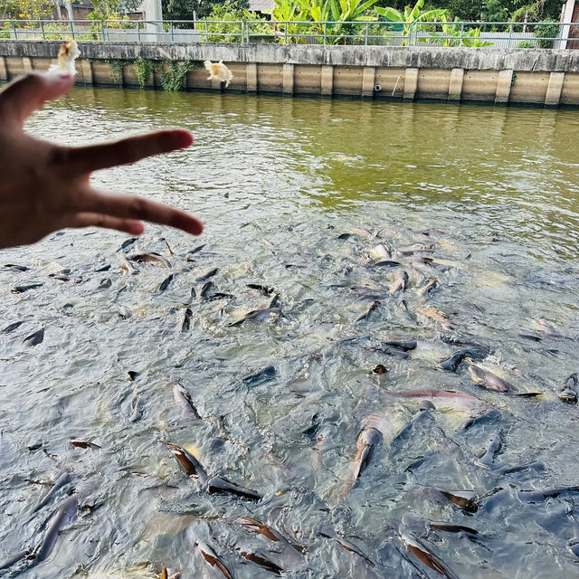 วัดกระทุ่มเสือปลา 