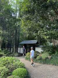 Mount Coottha Botanic garden 