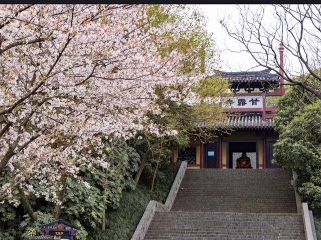 Three Kingdoms & Water Margin Town Cherry Blossom