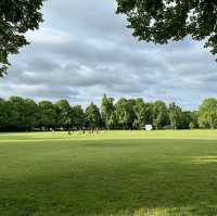 Mayfield Park