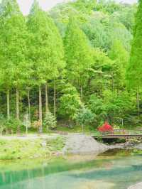 Onbit Natural Recreation Forest: An April Retreat to Lakeside Tranquility and Historic Charm 🌳🏡 