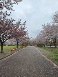 東京｜江戶川區自然動物園與行船公園一日遊