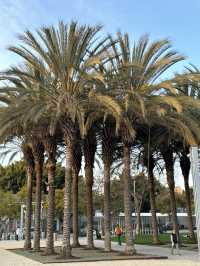 LA 여행 필수코스 “LACMA” 예술과 문화의 보물창고!