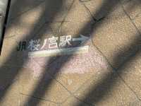2025大阪毛馬櫻之宮公園沿河浪漫櫻花步道