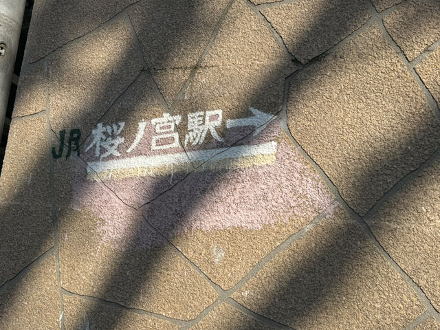 2025大阪毛馬櫻之宮公園沿河浪漫櫻花步道