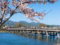 🍃 Arashiyama Adventure: Bamboo Forests, Secret Spots & Bridge Selfies! 🌉