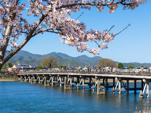 🍃 Arashiyama Adventure: Bamboo Forests, Secret Spots & Bridge Selfies! 🌉