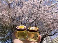 美味しいハチミツに引き寄せられて 長坂養蜂場@浜松・三ヶ日🐝