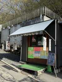  伊香保温泉の守り神「伊香保神社」—石段の頂上で願いを込める旅