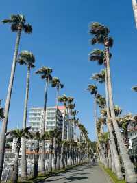 【 逗子 】 海外気分が味わえちゃうスポット紹介 🇺🇸🌴