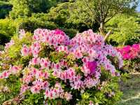 Surreal enchanted Sengan-En Japanese Gardens, Kagoshima 