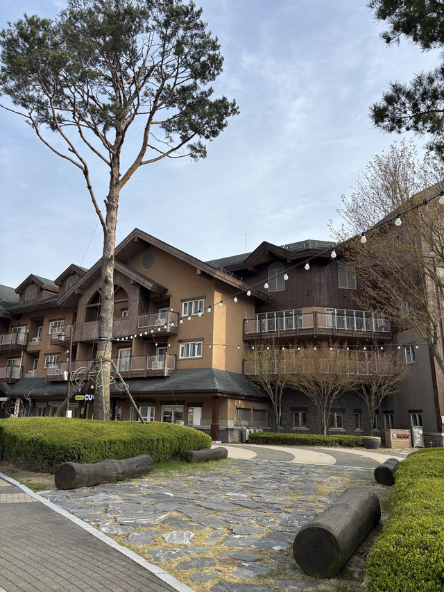 고급스러움과 안락함 두가지 다 갖춘 알펜시아 추천🌳☺️