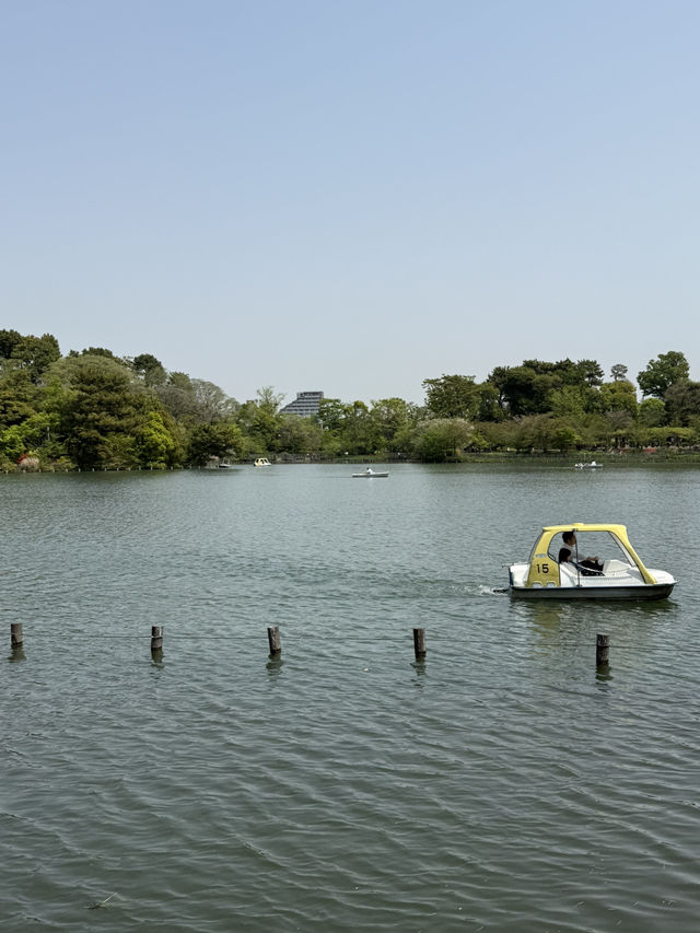 📍 洗足池公園/東京