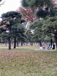 🌸 고쿄 히가시 교엔 – 도쿄 한복판에서 만나는 고요한 시간