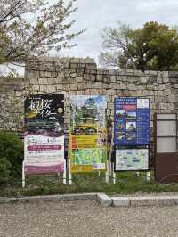 Osaka Castle