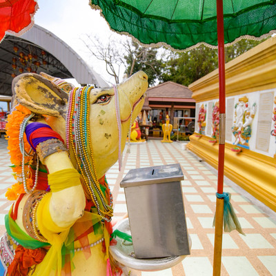 タイ】高速で願いが叶う「ピンクガネーシャ像」 | Trip.com