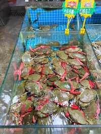 江門美食💕都斛海鮮街🦞新鮮又實惠