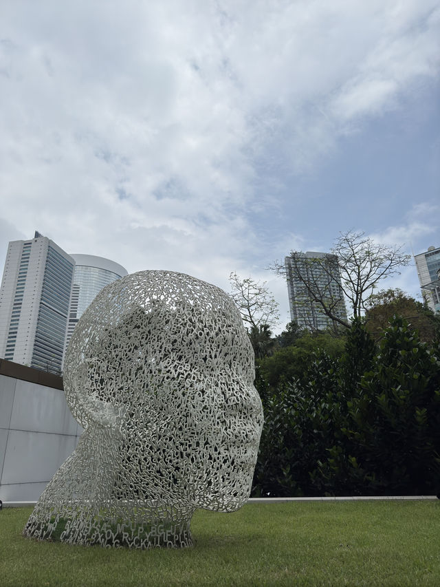 香港｜中環古樹節果決明