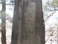 Takato Joshi Park, Nagano