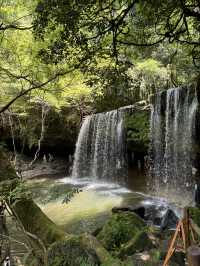 【熊本県・小国】黒川温泉に行くついでに寄って欲しいスポット！
