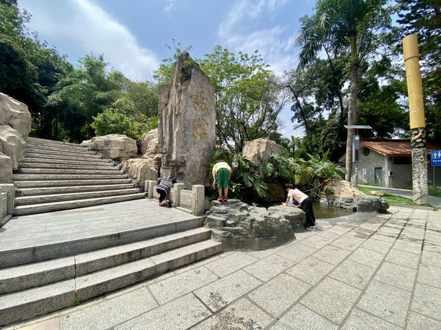 探秘歷史建築與城市風光之美✨深圳龍華大浪日遊⛪️🌴🌊 🛍️