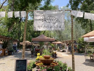 Chill Out in Every Season at "Kad Tong Tung"