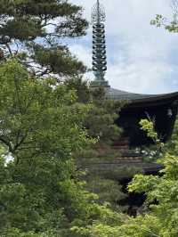 東京六日遊5/4第五天豪德寺喵喵廟
