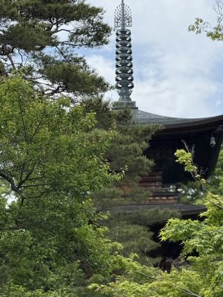 東京六日遊5/4第五天豪德寺喵喵廟
