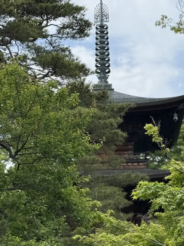 東京六日遊5/4第五天豪德寺喵喵廟