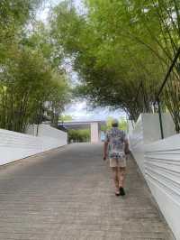 ✨Samui Walks near W Koh Samui✨