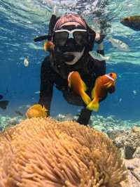 Maldives recap