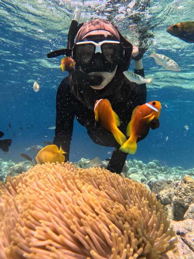 Maldives recap