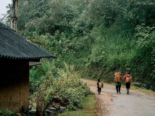 Fanxipang