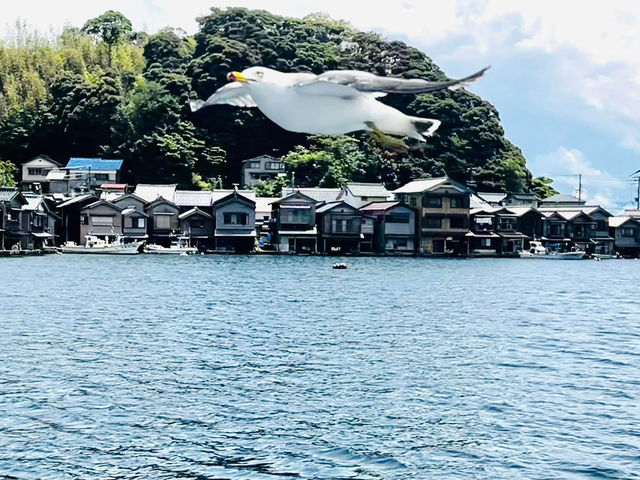 往伊根灣の海上列車 赤松號