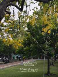 ชวนมานอนพักใจพักสายตาที่สวนป้อมพระสุเมรุ! 